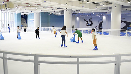 Ice Rink by Freeze Point