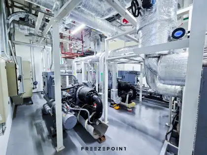 The Avenues Ice Rink