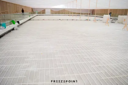 The Avenues Ice Rink