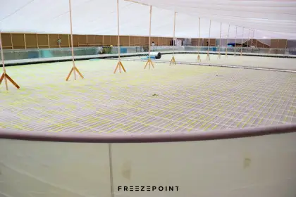 The Avenues Ice Rink