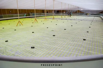 The Avenues Ice Rink