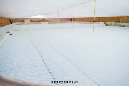 The Avenues Ice Rink