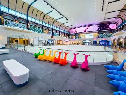 The Avenues Ice Rink