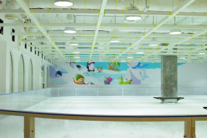 BZ Avenues Mall Ice Rink